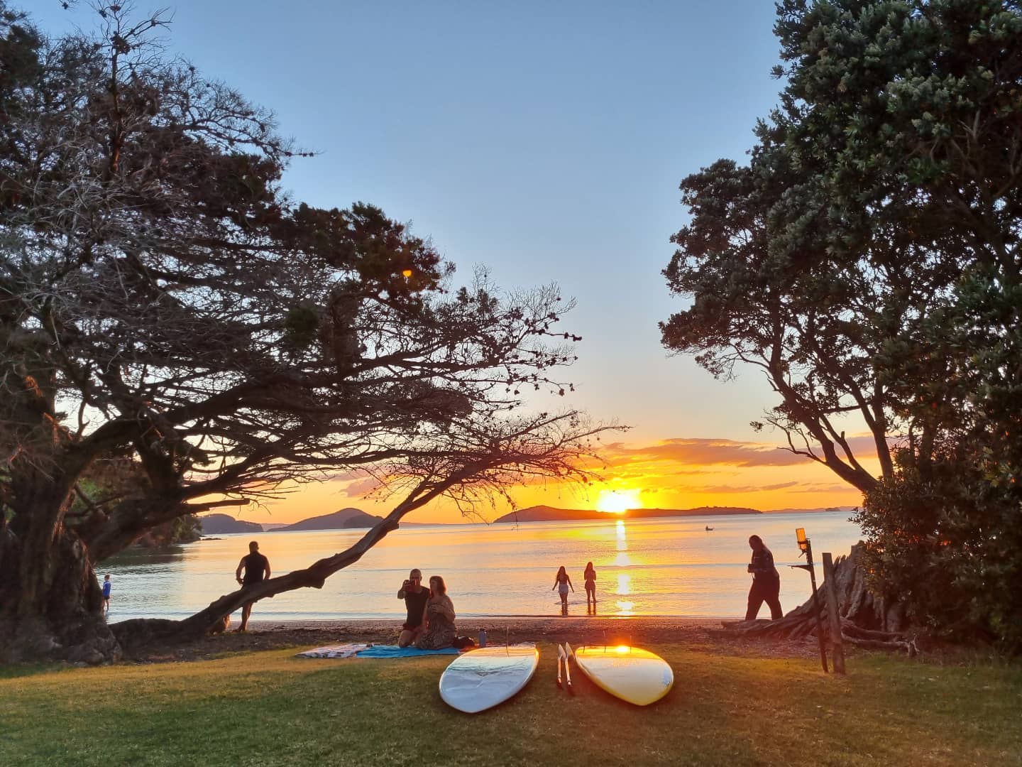 Paddle Board and Kayak