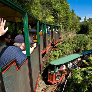 Driving Creek Railway & Pottery