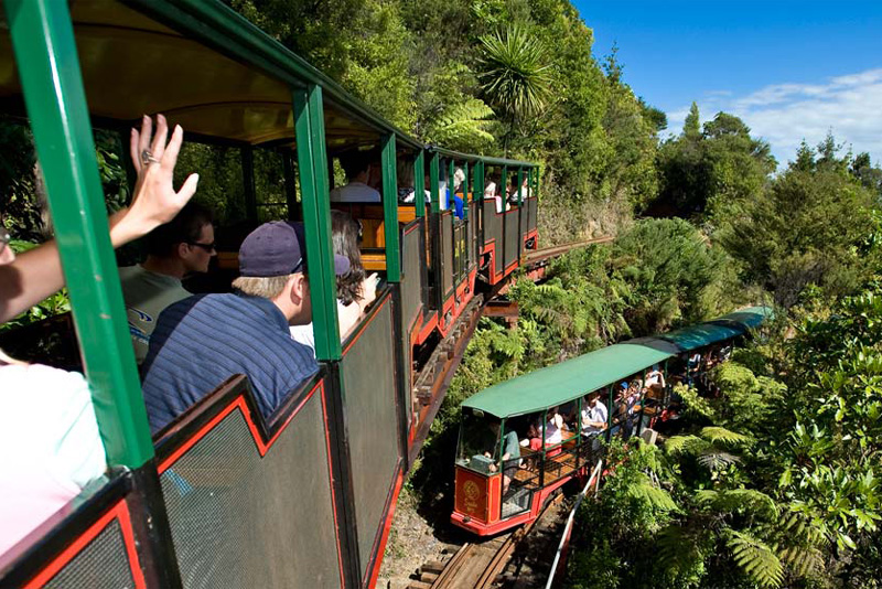 Driving Creek Railway & Pottery