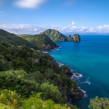 Coromandel Coastal Walkway Tour