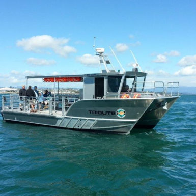 Mussel Barge Safaris