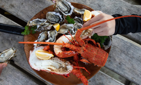 Coromandel is Open for Business and Brimming with Delights