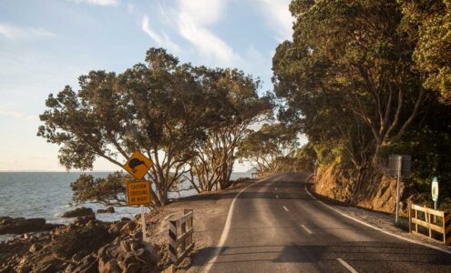 Thames Coast Road Closure 28th Oct to 3rd Nov – Your Guide to Getting Around